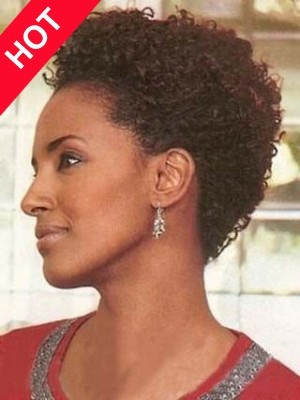 short curly african american human hair wigs